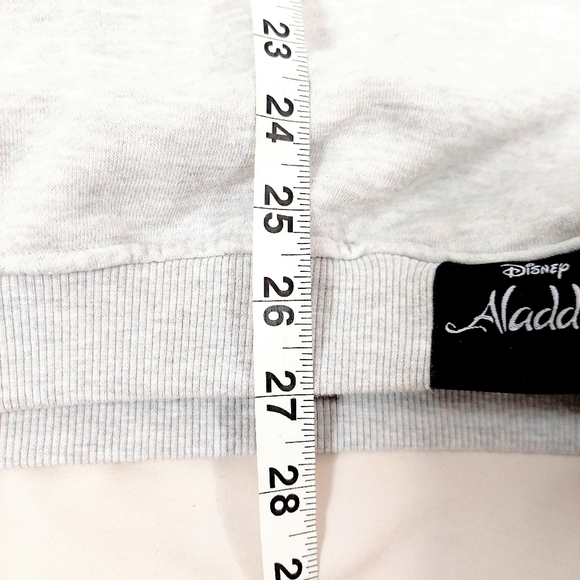 Disney Aladdin Grey Abu as Elephant Pullover Adult Hoodie from Oh My Disney - Picture 15 of 15